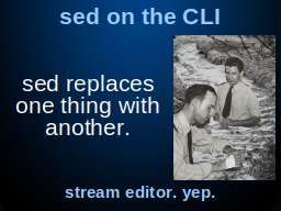 Slide 10